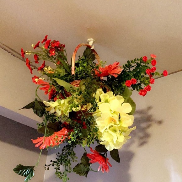 Meet your Posher, Roohdip - Picture 1 of 1